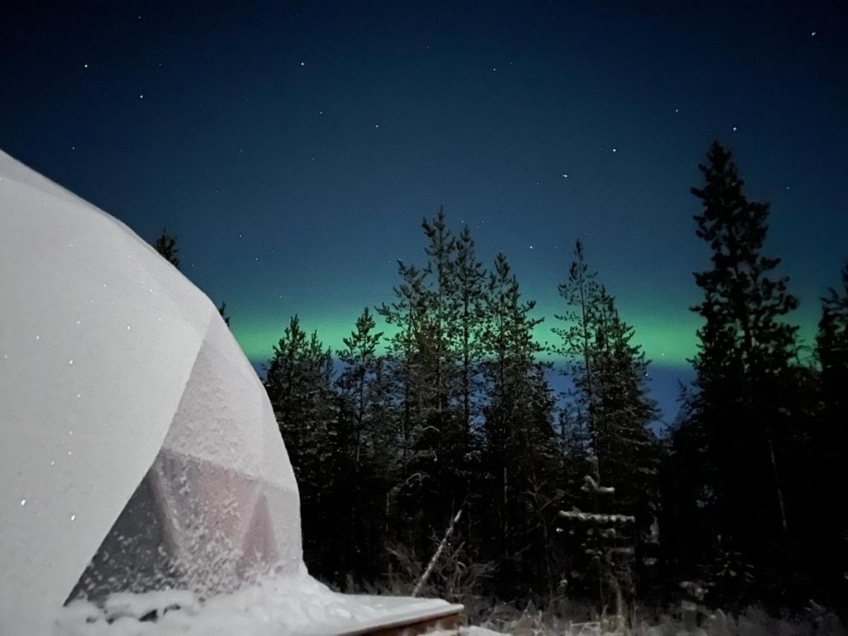 Aurora Igloo Fireplace-Heated Tents In A Secret Forest With Private Jacuzzi And Shared Sauna Bathroom And Dog Friendly Rovaniemi Luaran gambar
