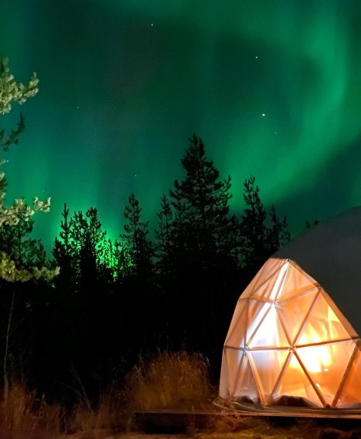 Aurora Igloo Fireplace-Heated Tents In A Secret Forest With Private Jacuzzi And Shared Sauna Bathroom And Dog Friendly Rovaniemi Luaran gambar