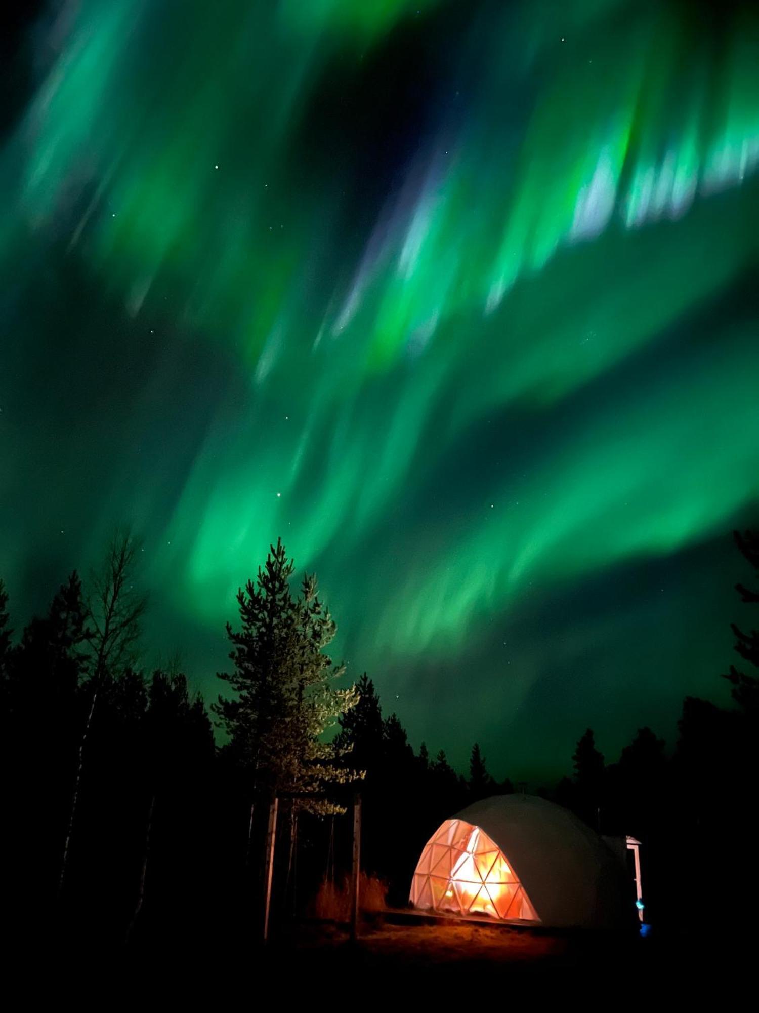 Aurora Igloo Fireplace-Heated Tents In A Secret Forest With Private Jacuzzi And Shared Sauna Bathroom And Dog Friendly Rovaniemi Luaran gambar