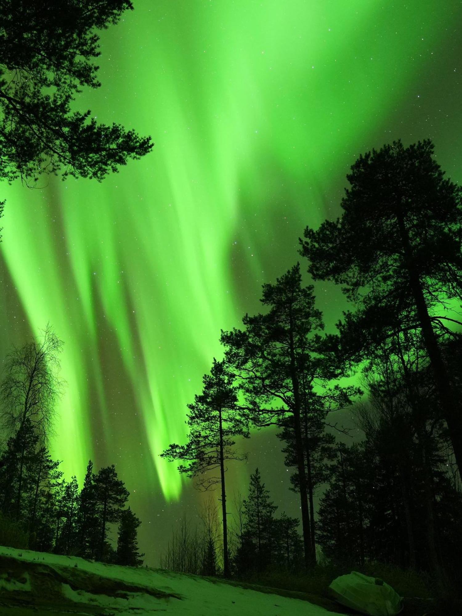 Aurora Igloo Fireplace-Heated Tents In A Secret Forest With Private Jacuzzi And Shared Sauna Bathroom And Dog Friendly Rovaniemi Luaran gambar